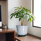 Ceramic Pots for Plants, 8 Inch Plant Pot for Indoor, Green - Image 3