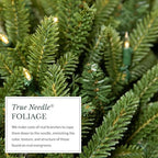 Balsam Hill BH Balsam Fir Christmas Wreath - Premium True Needle Front Door Wreath with LED Clear Lights Available in 26" and 48" Sizes for Indoor and Outdoor Holiday Decorating, 26" - Image 4