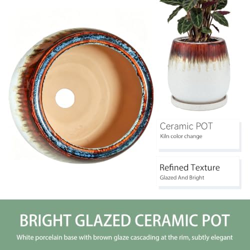 10.3 Inch Ceramic Glaze Plant Pot with Saucer, Flower Pots with Drainage Hole Mesh Net (Hemp-White) - Image 6