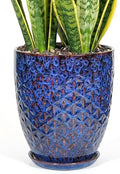11.8 Inch Flower Pots for Indoor Plants,Ceramic Planter with Saucer Drainage Leak-Proof Mesh Gardening Gloves (Peacock-Blue) by Unknown