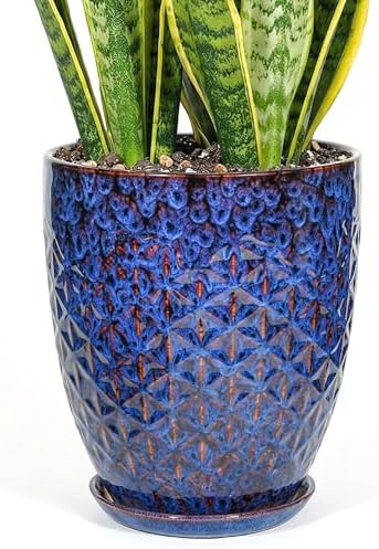 11.8 Inch Flower Pots for Indoor Plants,Ceramic Planter with Saucer Drainage Leak-Proof Mesh Gardening Gloves (Peacock-Blue) by Unknown