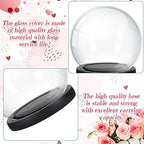 Tuanse 4 Pcs Glass Dome Cloche with Wood Base for Crafts Keepsake,Black - Image 3
