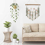 Bathroom Wall Decor Artificial Eucalyptus Boho Bedroom Decor Fake Eucalyptus Plants Leaves with Seashell on Stick Coastal Decor Natural Home Decorations for Living Room Nursery Kitchen - Image 7