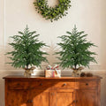 Grooy 2 Pack 2FT Artificial Norfolk Pine Tree with Pot by FEELTHENEWWORLD