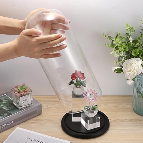 JUXYES 13.8 Inches Glass Display Dome Cloche with Black Wood Base, Clear Glass Dome Cloche Bell Terrarium Jar Glass Cloche Bell Jar Display for Plants Collectible Figure, 15x35cm - Image 5