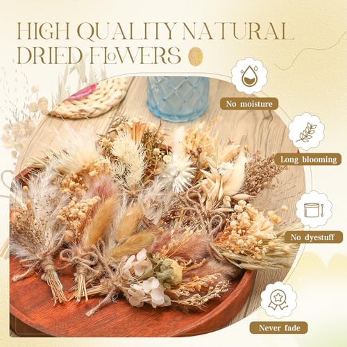 Layhit 12 Pcs Mini Dried Flower Bouquet Boho for Wedding,Rustic - Image 3
