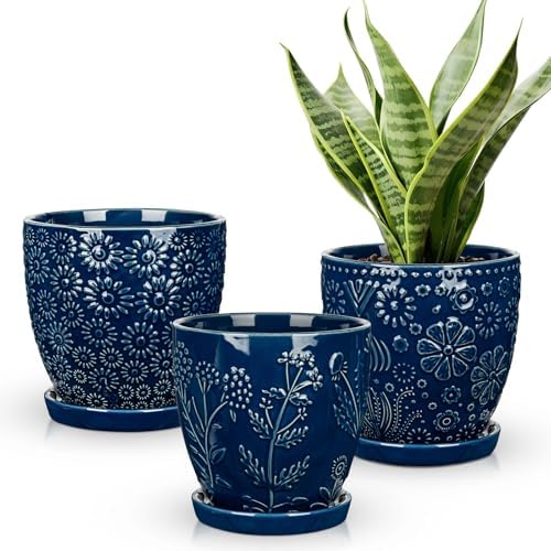 Hollyone Set of 3 Blue Ceramic Planter 6 Inch Flower Plant Pot with Drainage Hole and Saucer for Plants Embossed Indoor Outdoor Garden Embossed Ceramic Glazed Round Pot for Succulent Orchid by Hollyone