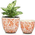 GnFlus Vintage Flower Pot Rustic Plant Pot Large Ceramic Planters for Indoor Plants Pots with Drainage Shabby Chic Planter Pots for Succulents Cactus Herb Snake Plants Outdoor Garden, 7.6/5.5 Inch by GnFlus