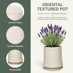 8 Inch Ceramic Planter Pot with Saucer Drainage Leak-Proof Mesh,Flower Pots for Lavender with Gardening Gloves,Ceramic Planter for Orchid(Silk White) - Image 3