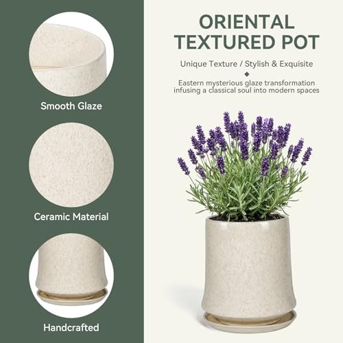 8 Inch Ceramic Planter Pot with Saucer Drainage Leak-Proof Mesh,Flower Pots for Lavender with Gardening Gloves,Ceramic Planter for Orchid(Silk White) - Image 3