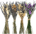 Layhit 4 Pack Large Size Boho Dried Flowers 15-17 Inch, Lavender by ShungLan