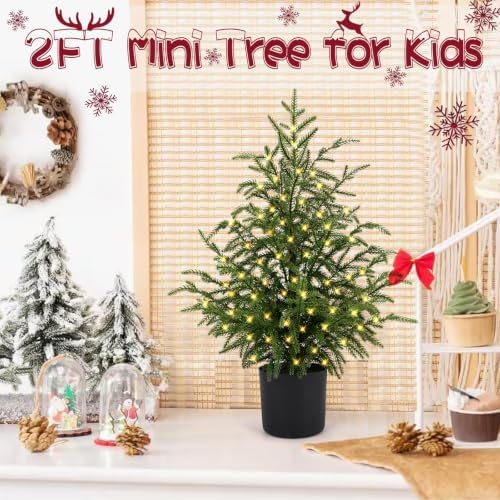 ENVEN 2FT Norfolk Pine Christmas Tree – Small Artificial Tree with Prelit 30 LED Lights & 8-Mode Battery Box, Pre-Assembled Xmas Decor for Desks Tabletops Shelves - Image 3