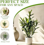 2 Pcs Artificial Olive Potted Plants, 16" Faux Greenery with Pot, Fake Green Plants Olive Stems Tables Centerpiece for Desk Shelf Cabinet Bedroom Livingroom Kitchen Indoor Home Decor - Image 4