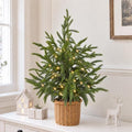 Christmas Decorations - 2FT Pre-Lit Artificial Norfolk Pine Christmas Tree by FestalMart