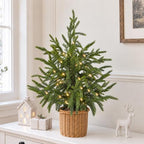 Christmas Decorations - 2FT Pre-Lit Artificial Norfolk Pine Christmas Tree by FestalMart