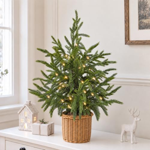 Christmas Decorations - 2FT Pre-Lit Artificial Norfolk Pine Christmas Tree by FestalMart