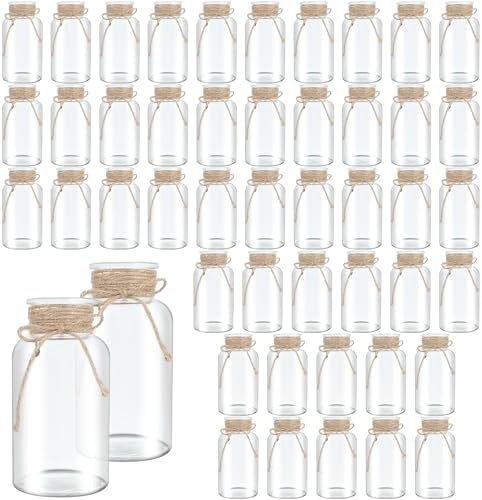 48 Pack Mason Jar Vases for Centerpieces, Clear Glass Flower Vase by LEYIQU