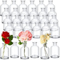 Lallisa 80 Pcs 4.9 Inches Small Glass Bud Vases Bulk Mini, Clear by Lallisa
