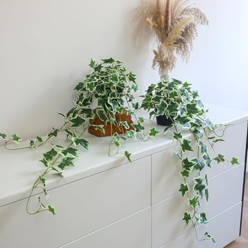 Fake English Ivy Plants in Pots Set of 2 – Realistic Artificial Ivy Greenery for Home Decor, Tabletop, Office, Shelf, Balcony, Lifelike Faux Hanging Vines, No Maintenance Required - White and Green by ALYPTUS
