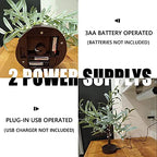 Fudios Little Lighted Tree with Timer 18in 50 LED USB Battery Operated Table Top Bonsai Olive Trees Light Artificial Plant for Home Decor Indoor - Image 4