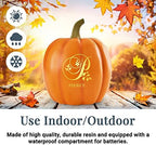 Let's Make Memories Personalized Pumpkin for Halloween - Custom Jack O Lantern With Your Name - Fall Decor - Light Up Pumpkin for Indoor/Outdoor Use - Floral Name and Monogram - Large - Silver Glitter - Image 6