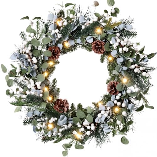 Kajaia 22'' Christmas Wreath for Front Door with Lights Decoration, White by Kajaia