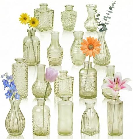 Glass Bud Vases in Bulk Small Mini Green Vase for Flowers 17pc by PXDSDXJJWEDDING%EF%BC%86HOMEDECOR