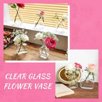 33pcs Glass Small Bud Vases Set - 9 Styles Clear Bud Vase - Image 6