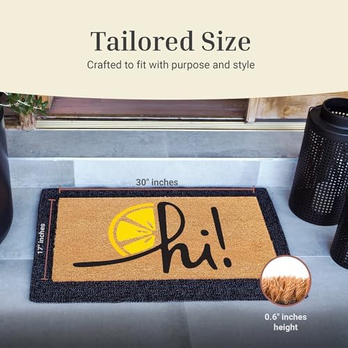 THEODORE MAGNUS Door Mat - Welcome Mat for Front Door with Non-Slip Backing - Durable Spring & Summer Doormat - Perfect for Outside Entrance Matt - Outdoor/Indoor - Zesty hi! - 17" x 30" - Image 4