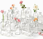 20 Pack Clear Glass Bud Vases for Centerpieces Small Mini Flower Vases by SUJUN
