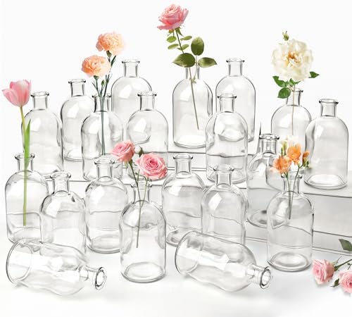 20 Pack Clear Glass Bud Vases for Centerpieces Small Mini Flower Vases by SUJUN