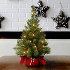 National Tree Company 24in Pre-Lit Majestic Fir Mini Christmas Tree - Image 2