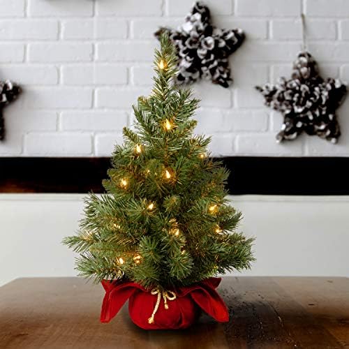 National Tree Company 24in Pre-Lit Majestic Fir Mini Christmas Tree - Image 2