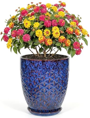 9.5 Inch Flower Pots for Indoor Plants,Ceramic Planter with Saucer Drainage Leak-Proof Mesh Gardening Gloves (Peacock-Blue) by Unknown