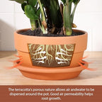 INGOFIN 8 Inch Terracotta Shallow Pots Set with Saucer - Ceramic Clay Pots with Drainage Hole, Terra Cotta Pot for Plants for Indoor Outdoor Plants, Set of 2 - Image 4