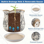 Ceramic-Planters-for-Indoor-Plants with Saucer, 6 inch Vintage Ice Crackle Glaze Plant Pots with Drainage Holes, Decorative Flower Pots for Outdoor Garden Home Decor, Tuscan Pot for Plant - Image 6