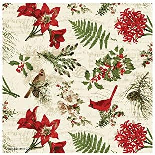 Park Designs Nature Sings Cardinal Napkin Set of 4 - Image 2