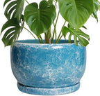 SQOWL Ceramic Planters - 10 Inch Plant Pot Indoor with Drainage Hole and Saucer, Decorative Flower Pot Outdoor, Round Large Planter, Living Room Office Garden Decor, Plant Lover Gifts for Women, Blue by SQOWL