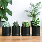 D'vine Dev 4-Pack Ceramic Pots with Saucers, Black, 3.5 in, 94-X-A-2 - Image 2