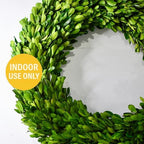 Preserved Boxwood Wreath 18 Inch – Real Greenery Spring Summer & Year-Round Indoor Décor, Farmhouse Wall & Mantel, Fade-Resistant - Image 3