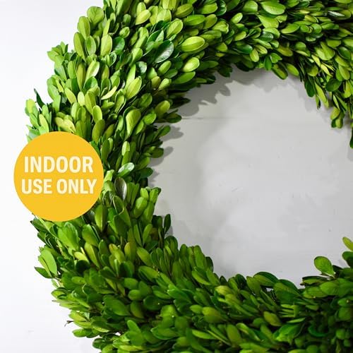 Preserved Boxwood Wreath 16 Inch – Real Greenery Spring Summer & Year-Round Indoor Décor, Farmhouse Wall Door & Mantel, Fade-Resistant - Image 4