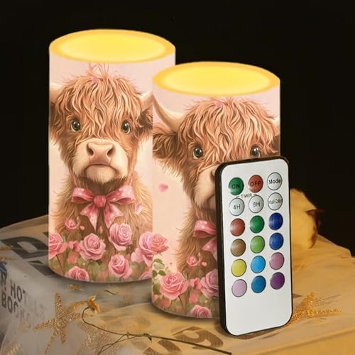 Valentines Day Decor Flameless Candles Battery Candles with Remote Control Pink LED Pillar Candles Electric Fake Plastic Candles for Home Room Bedroom Holiday Decorations Set of 2 by WelcometoLuarisgur