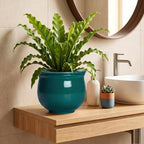 8 Inch Ceramic Self-Watering Flower Pots, Blackish Green - Image 6