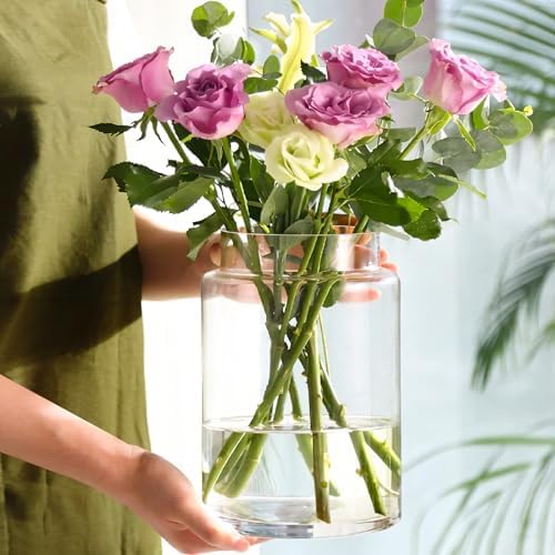 KOIUEYW Clear Vases for Centerpieces, 9 Inch Large Glass Vase for Bouquet, Glasses Home Decor Modern Jarrones Decorativos for Wedding Living Room Dining Table Office by Unknown
