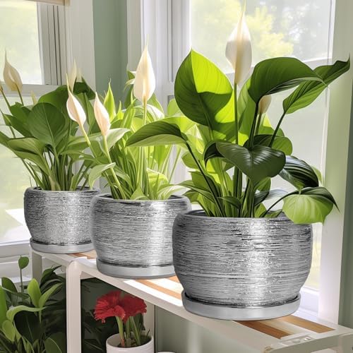 SQOWL Ceramic Plant Pots - 6 Inch Planter for Indoor Outdoor Plants, Modern Round Flower Pots with Drainage Hole and Saucer, Decorative Small Planter, Office Decor, Gifts for Women Men, Silver - Image 5