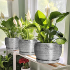 SQOWL Ceramic Pot for Plants - 8 Inch Planter with Drainage Hole and Saucer, Round Planter Indoor Outdoor, Modern Decorative Flower Pot, House Decor, Gifts for Plant Lovers, Silver - Image 6