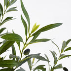Warmplants Artificial Olive Tree 4ft Faux Plant with Woven Basket - Image 3