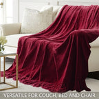 Chenille Throw Blanket for Couch 60" x 80" Twin, Red - Image 4