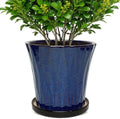 10 Inch Ceramic Planters with Drainage Hole and Saucer,Indoor Outdoor Large Flower Pots, Garden Pot for Plant Lovers (Blue) by Unknown