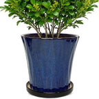 10 Inch Ceramic Planters with Drainage Hole and Saucer,Indoor Outdoor Large Flower Pots, Garden Pot for Plant Lovers (Blue) by Unknown